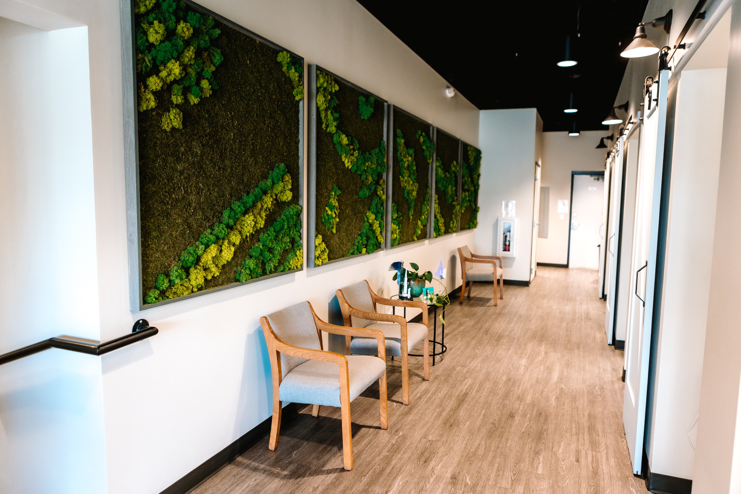 Mills River NC Dentist